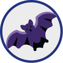 Fledermaus
