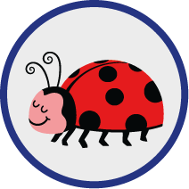Marienkäfer