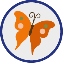 Schmetterling